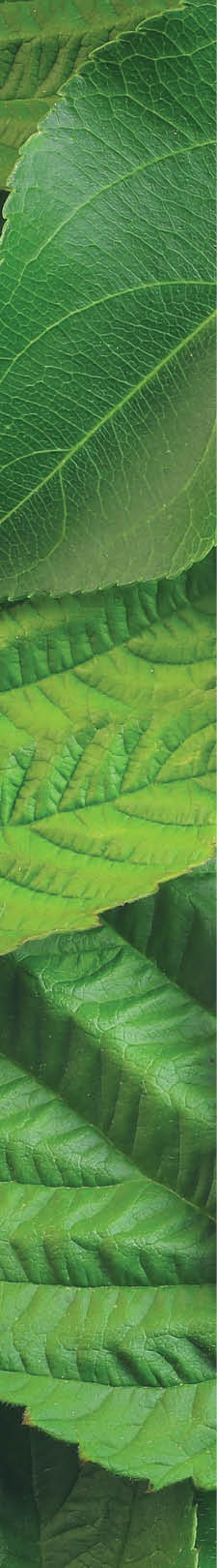 Creative layout made of flowers and leaves with paper card note  Nature concept