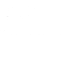 noun 1  the action of leading a group of people or an organization  ,e,lead er ship  'led r,SHip 